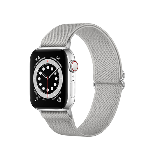 Apple Watch 38 40 41 42mm Polyester Nylon Rem Armbånd Sølv